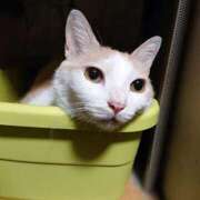 ヒメ日記 2025/08/06 17:00 投稿 辻レイナ クラブ華