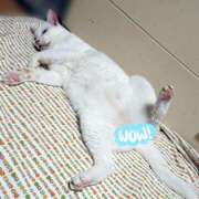 ヒメ日記 2025/08/07 17:00 投稿 辻レイナ クラブ華