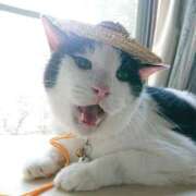 ヒメ日記 2025/08/08 17:00 投稿 辻レイナ クラブ華