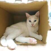 ヒメ日記 2025/08/11 17:00 投稿 辻レイナ クラブ華