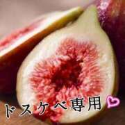 ヒメ日記 2025/08/12 12:01 投稿 辻レイナ クラブ華