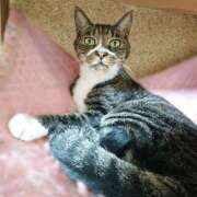 ヒメ日記 2025/08/12 17:00 投稿 辻レイナ クラブ華