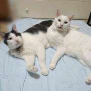 ヒメ日記 2025/08/13 17:00 投稿 辻レイナ クラブ華