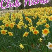 ヒメ日記 2025/08/13 18:00 投稿 辻レイナ クラブ華