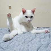 ヒメ日記 2025/08/14 17:00 投稿 辻レイナ クラブ華