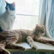 ヒメ日記 2025/08/15 17:00 投稿 辻レイナ クラブ華