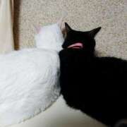 ヒメ日記 2025/08/16 17:00 投稿 辻レイナ クラブ華