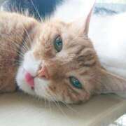 ヒメ日記 2025/08/17 17:00 投稿 辻レイナ クラブ華