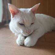 ヒメ日記 2025/08/18 17:00 投稿 辻レイナ クラブ華