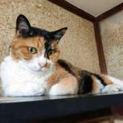 ヒメ日記 2025/08/19 17:00 投稿 辻レイナ クラブ華