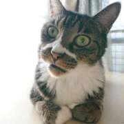 ヒメ日記 2025/08/22 17:00 投稿 辻レイナ クラブ華