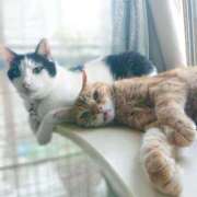 ヒメ日記 2025/08/23 17:00 投稿 辻レイナ クラブ華