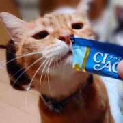 ヒメ日記 2025/08/25 18:00 投稿 辻レイナ クラブ華