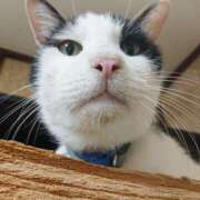 ヒメ日記 2025/08/28 17:00 投稿 辻レイナ クラブ華