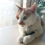 ヒメ日記 2025/08/29 17:00 投稿 辻レイナ クラブ華