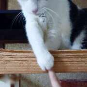 ヒメ日記 2025/08/30 17:00 投稿 辻レイナ クラブ華