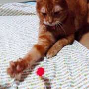 ヒメ日記 2025/08/31 17:00 投稿 辻レイナ クラブ華