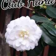 ヒメ日記 2025/08/31 18:00 投稿 辻レイナ クラブ華