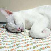 ヒメ日記 2025/09/01 17:00 投稿 辻レイナ クラブ華