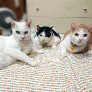 ヒメ日記 2025/09/02 17:00 投稿 辻レイナ クラブ華