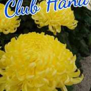 ヒメ日記 2025/09/02 18:00 投稿 辻レイナ クラブ華