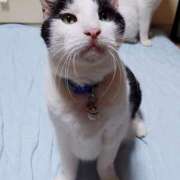 ヒメ日記 2025/09/03 17:00 投稿 辻レイナ クラブ華