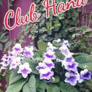 ヒメ日記 2025/09/04 18:00 投稿 辻レイナ クラブ華