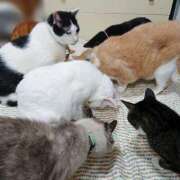 ヒメ日記 2025/09/05 17:00 投稿 辻レイナ クラブ華