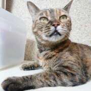 ヒメ日記 2025/09/06 17:00 投稿 辻レイナ クラブ華