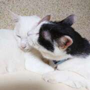 ヒメ日記 2025/09/07 17:00 投稿 辻レイナ クラブ華