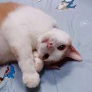 ヒメ日記 2025/09/08 17:00 投稿 辻レイナ クラブ華