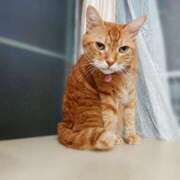 ヒメ日記 2025/09/10 17:00 投稿 辻レイナ クラブ華