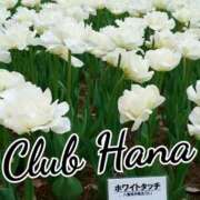 ヒメ日記 2025/09/10 18:00 投稿 辻レイナ クラブ華