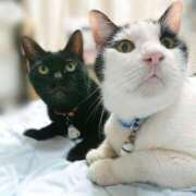 ヒメ日記 2025/09/11 17:00 投稿 辻レイナ クラブ華