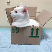 ヒメ日記 2025/09/12 17:00 投稿 辻レイナ クラブ華