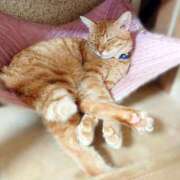 ヒメ日記 2025/09/13 17:00 投稿 辻レイナ クラブ華