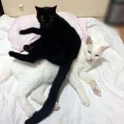 ヒメ日記 2025/09/15 17:00 投稿 辻レイナ クラブ華