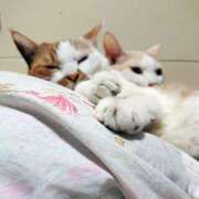 ヒメ日記 2025/09/16 17:00 投稿 辻レイナ クラブ華