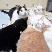 ヒメ日記 2025/09/18 17:00 投稿 辻レイナ クラブ華