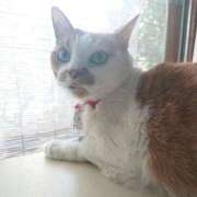 ヒメ日記 2025/09/19 17:00 投稿 辻レイナ クラブ華