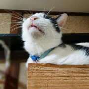 ヒメ日記 2025/09/20 17:00 投稿 辻レイナ クラブ華