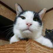 ヒメ日記 2025/09/21 17:00 投稿 辻レイナ クラブ華