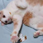 ヒメ日記 2025/09/22 17:00 投稿 辻レイナ クラブ華