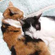 ヒメ日記 2025/09/23 17:00 投稿 辻レイナ クラブ華