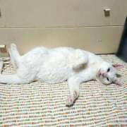 ヒメ日記 2025/09/24 17:00 投稿 辻レイナ クラブ華