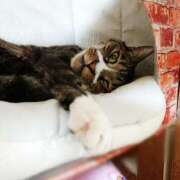 ヒメ日記 2025/09/25 17:00 投稿 辻レイナ クラブ華