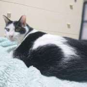 ヒメ日記 2025/09/26 17:00 投稿 辻レイナ クラブ華