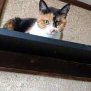 ヒメ日記 2025/09/27 17:00 投稿 辻レイナ クラブ華