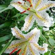 ヒメ日記 2025/09/27 18:01 投稿 辻レイナ クラブ華