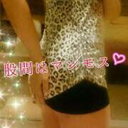 ヒメ日記 2025/09/28 12:03 投稿 辻レイナ クラブ華